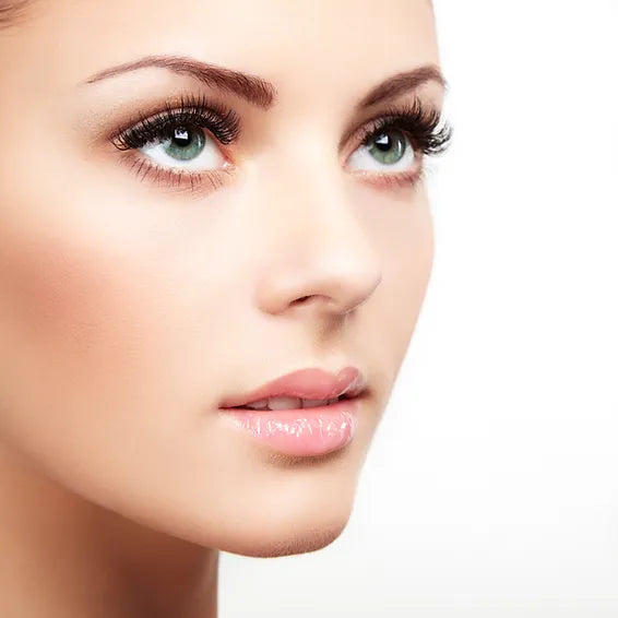 Plump Fine Lines This Winter