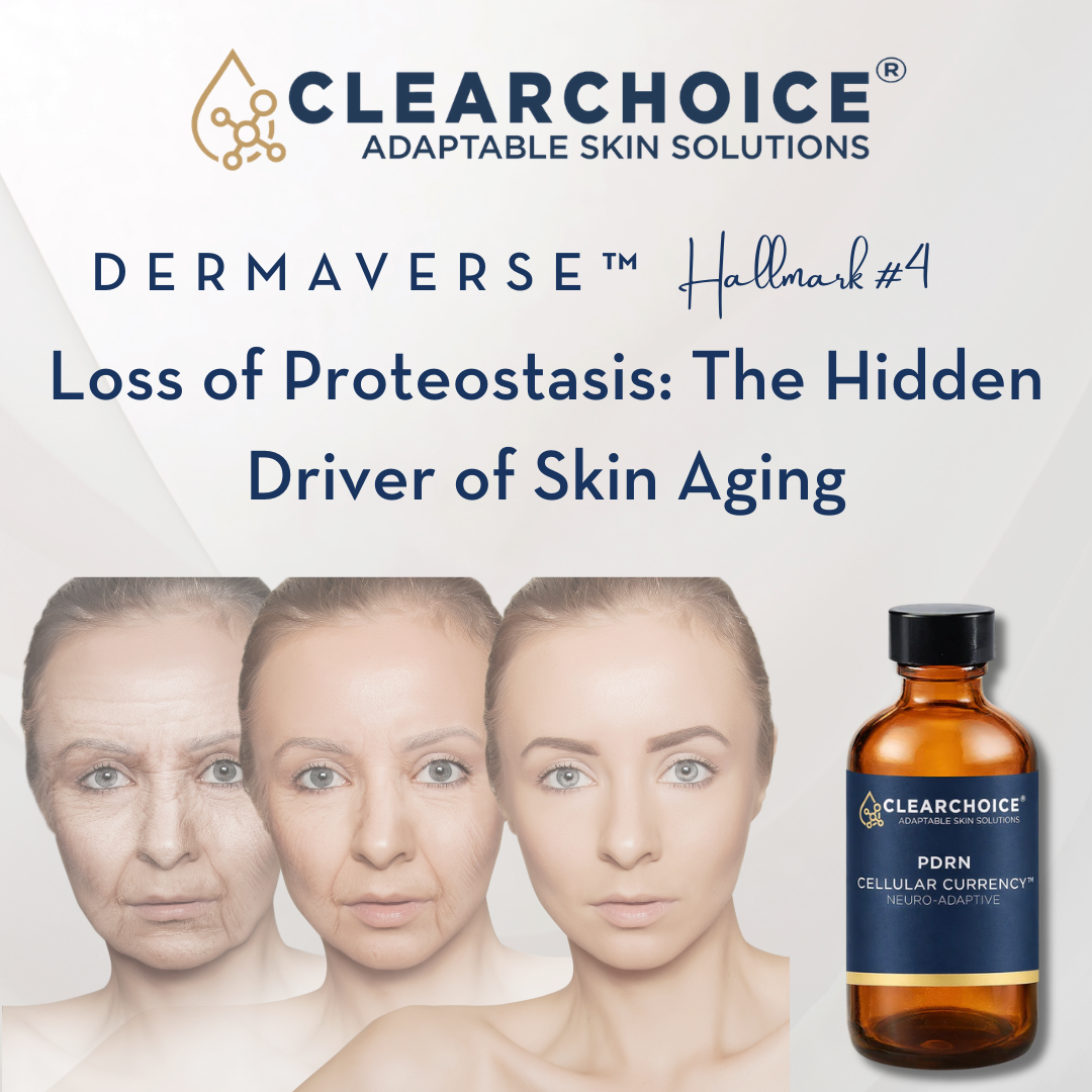April 1st Loss of Proteostasis: The Hidden Driver of Skin Aging