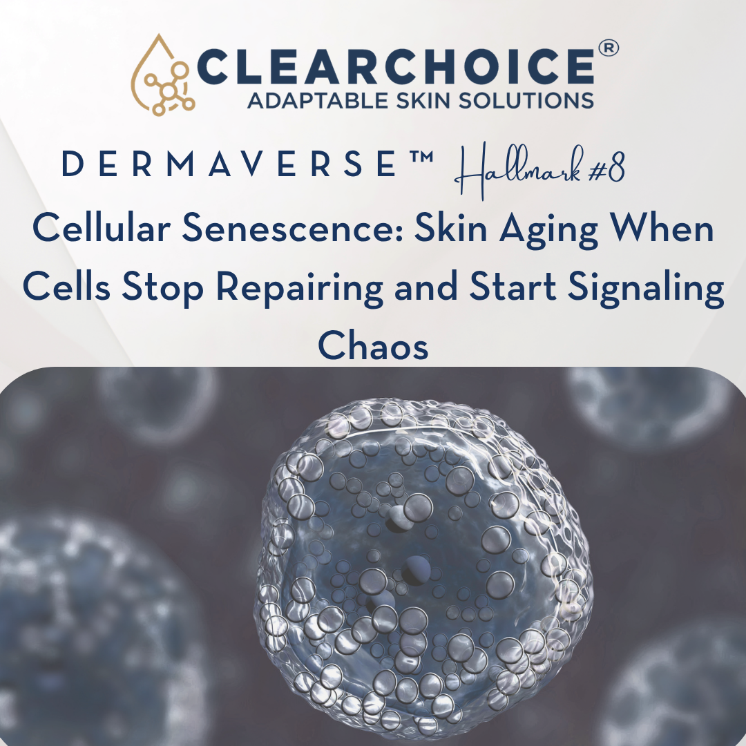August 5th Cellular Senescence: Skin Aging When Cells Stop Repairing and Start Signaling Chaos