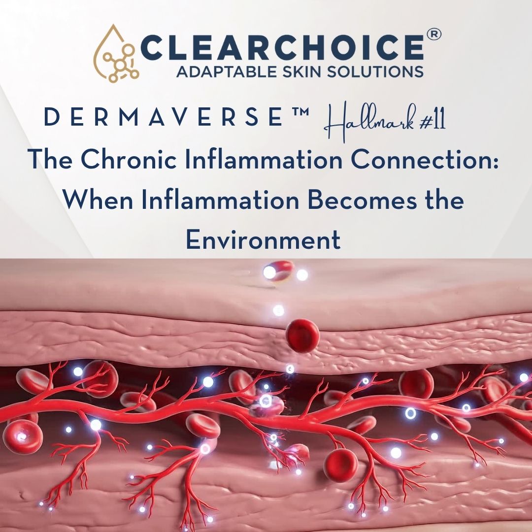 November 5th The Chronic Inflammation connection: When Inflammation becomes the environment