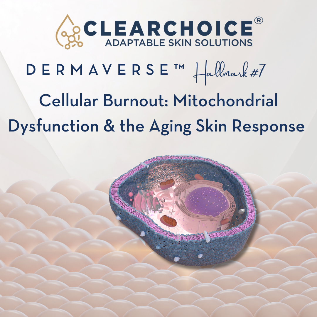 July 1st Cellular Burnout: Mitochondrial Dysfunction & the Aging Skin Response