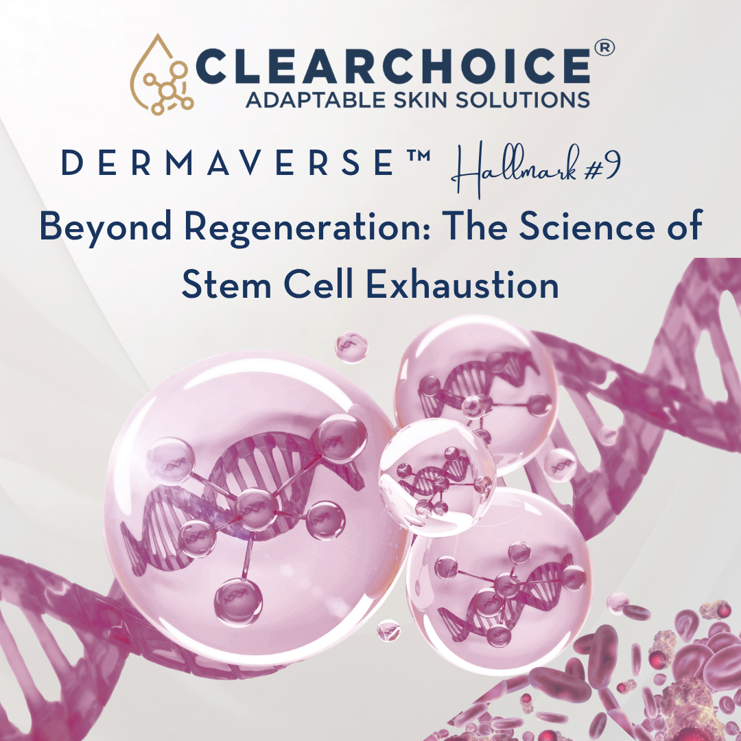 September 1st Stem Cell Exhaustion: Beyond Regeneration: The Science of Stem Cell Exhaustion