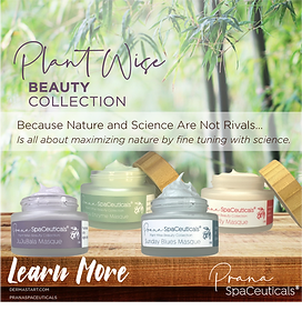 PLANT WISE COLLECTION: Feijoa Enzyme Masque