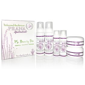 Lavender Beauty Box Kit