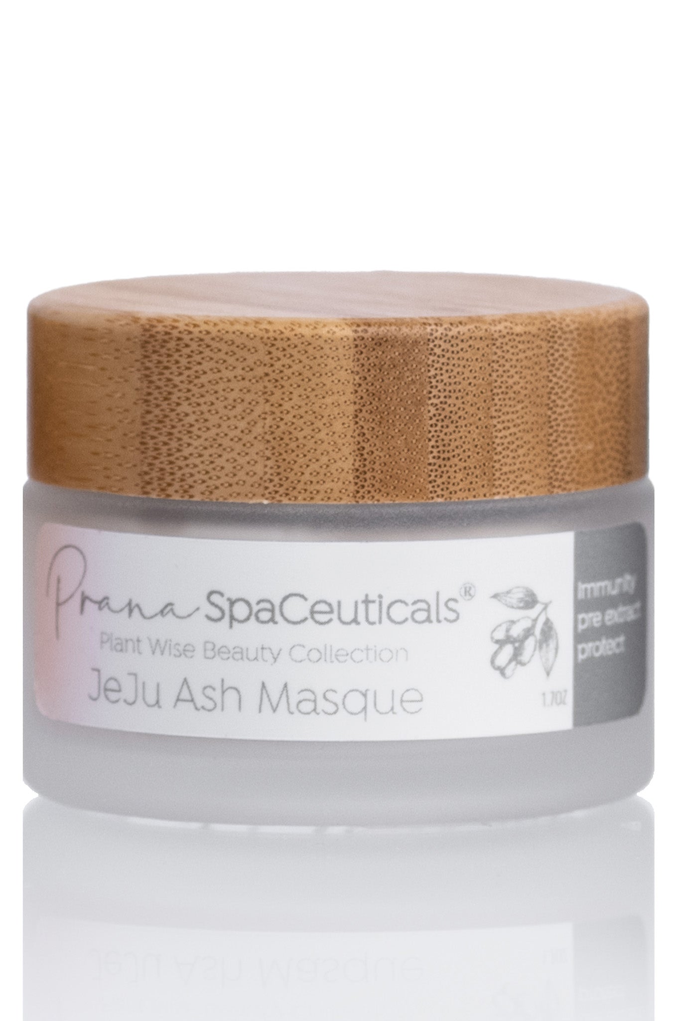 PLANT WISE BEAUTY COLLECTION: JeJu Ash Masque